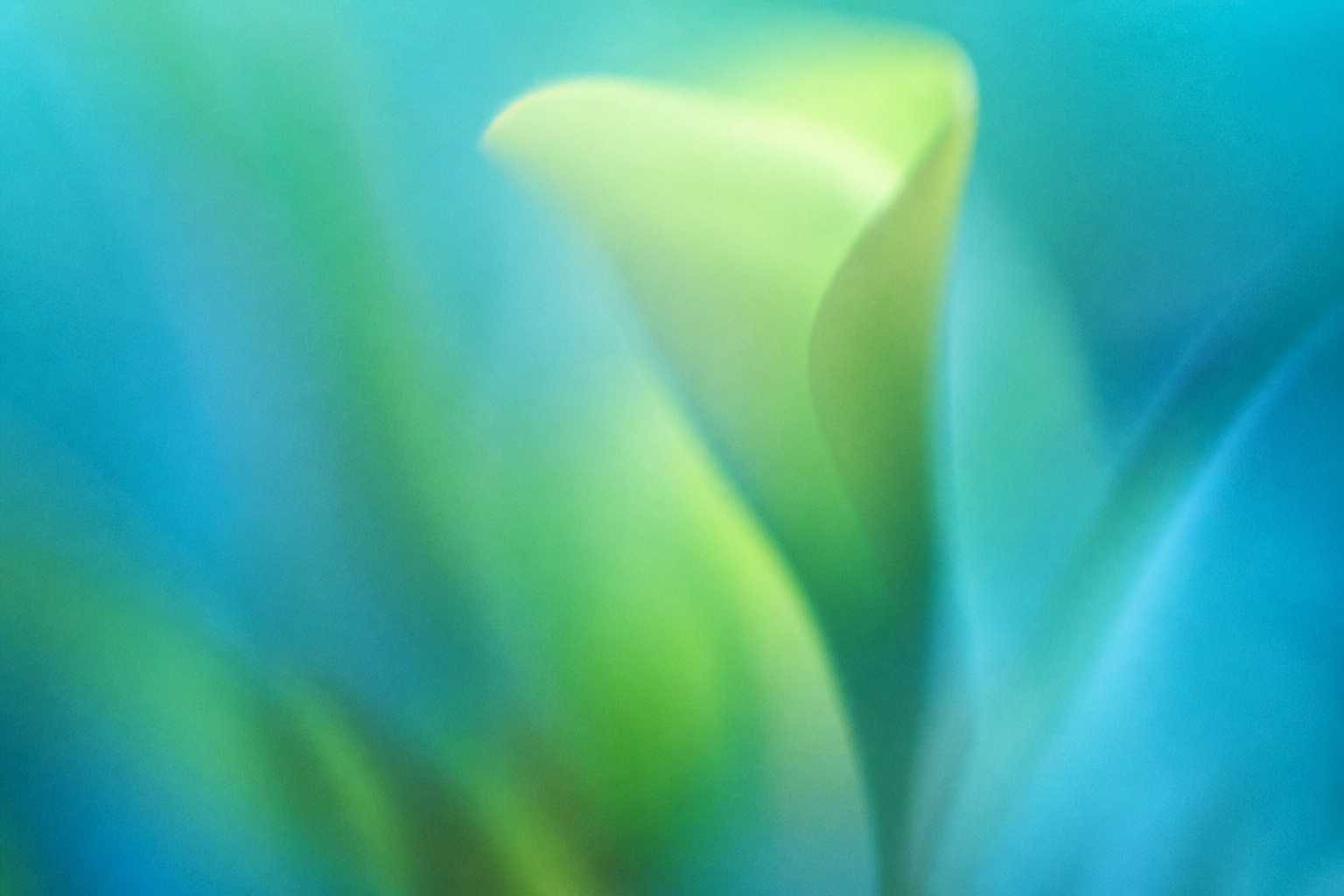 Abstract folded flower bud glowing in turquoise and chartreuse