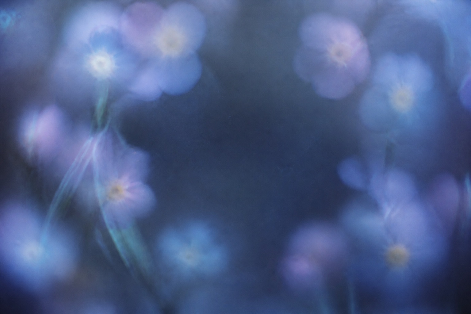 Abstract muted-blue flower forms surrounding a smoky indigo center
